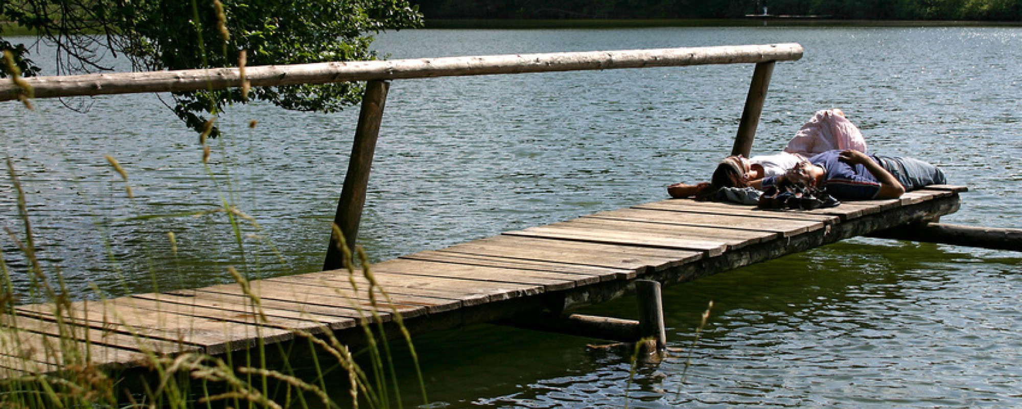 Titelbild, Steg am See