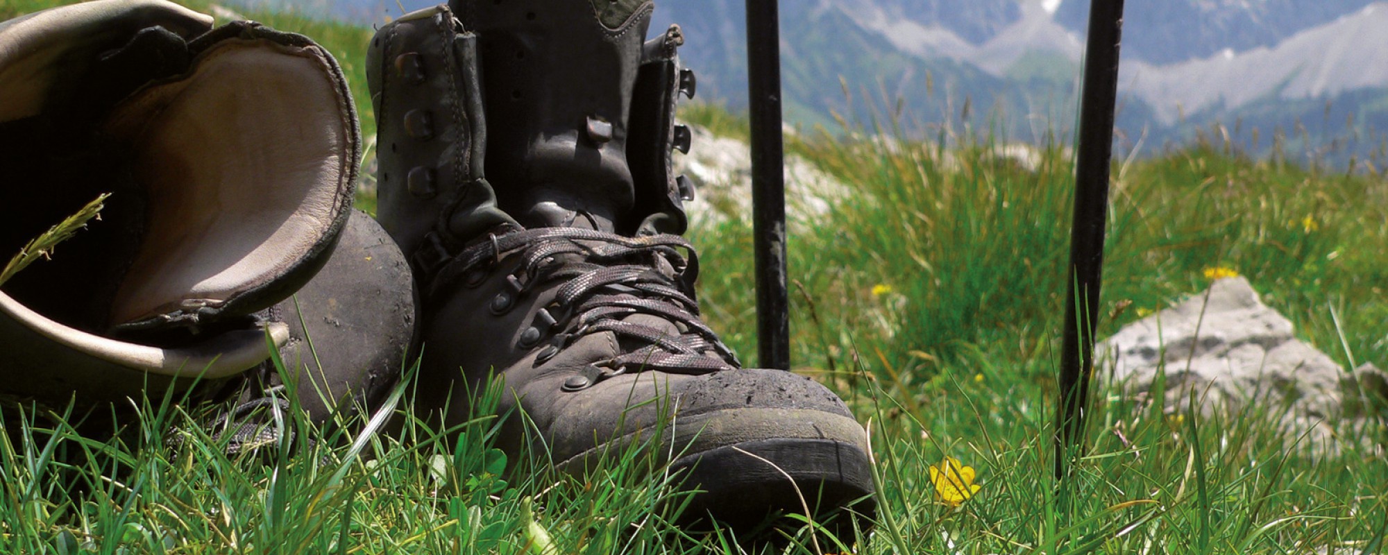 Titelbild, Bergschuh in der Wiese